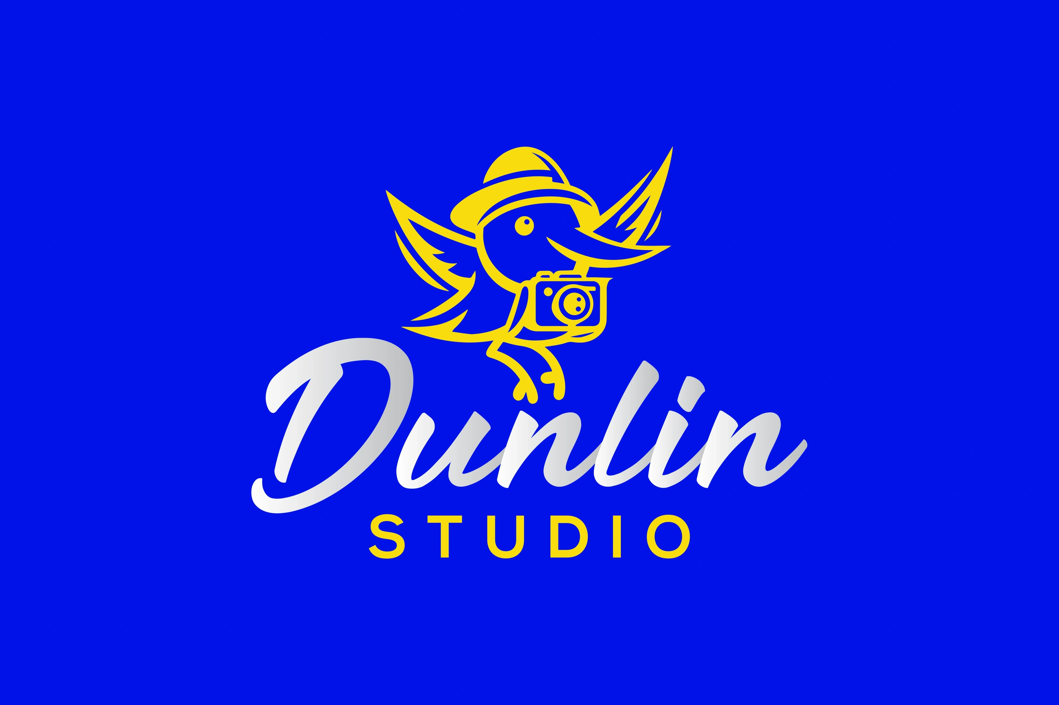 Portfolio work