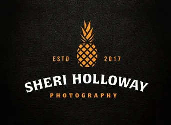 Portfolio work